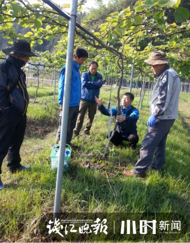 太赚了！韩国男白领辞职来千岛湖定居，年入400万：我在中国做农民很安心