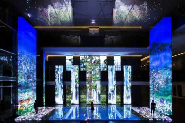 邂逅 teamLab：在上海，和世界的其他地方