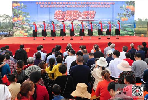 约起来！公安县章庄铺镇柑橘节开幕，活动将持续近一个月