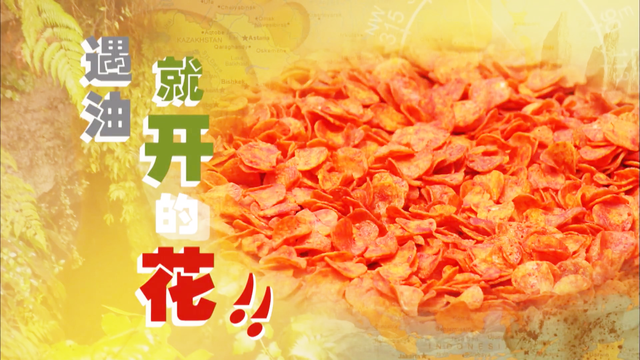 新加坡综艺《大脚印》印度尼西亚004：遇油就开的花