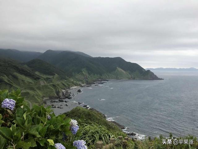日本青森果园走一圈，看中日果树管理水平的差距有多大（上）