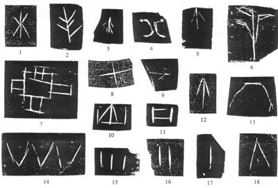 你不知道的汉字简史8000年：从贾湖刻符到黄帝书、鸟虫书、二简字