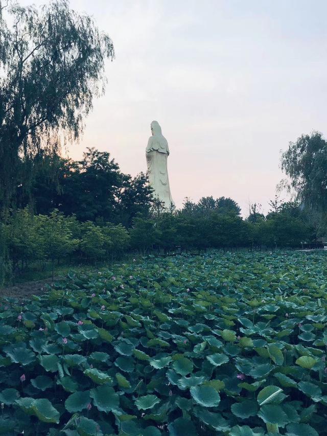 老齐和老张头各占公园一角，摆露天卡拉 OK 摊 | 北京故事