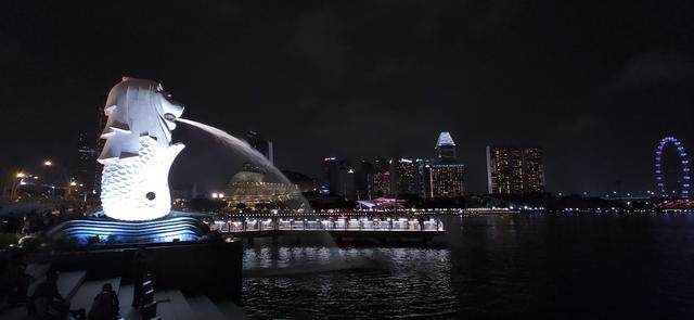 去了新加坡，好像没出国