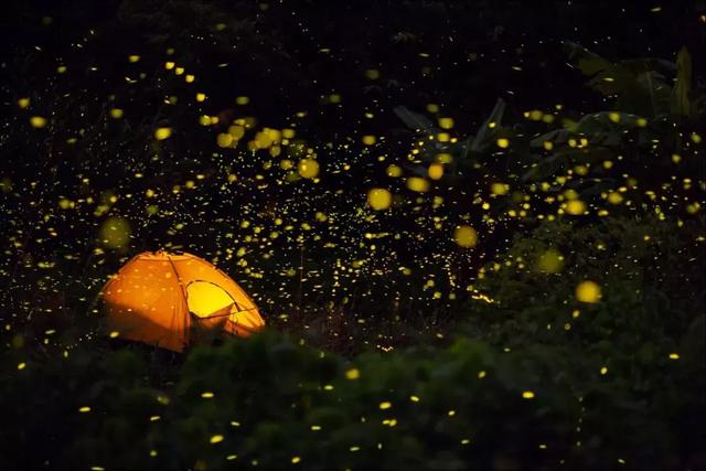 乡村打造“夜经济”，需要“关灯”，而不是“亮灯”