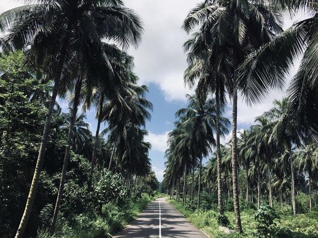 一个人的北纬1度——孤独的旅者，不孤独的美娜多之行