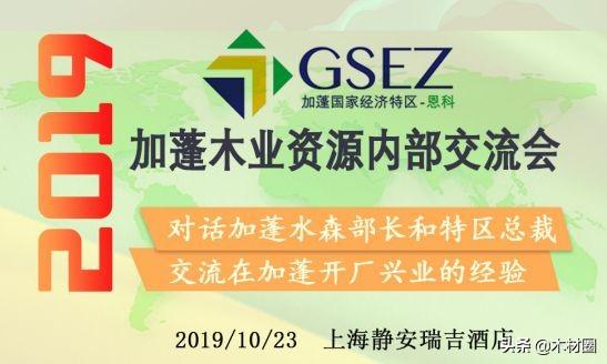 揭秘2019加蓬木业资源内部交流会水森部部长和中国木业商聊了啥？