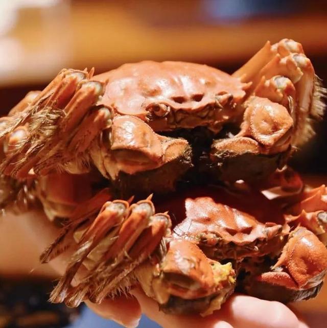 秋风起，蟹脚痒！¥168/位--9种口味万豪超级蟹宴