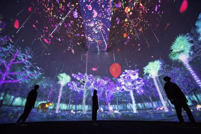 邂逅 teamLab：在上海，和世界的其他地方