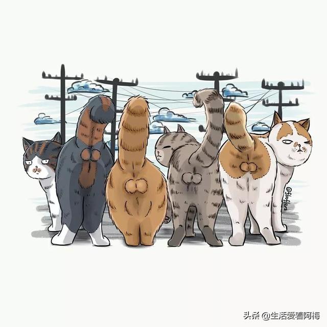 在铲屎官的世界里，什么都可以变成主子，把各大品牌画出猫猫，萌