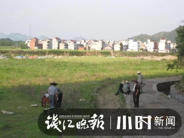 太赚了！韩国男白领辞职来千岛湖定居，年入400万：我在中国做农民很安心