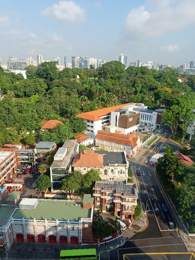 新加坡游记（三）