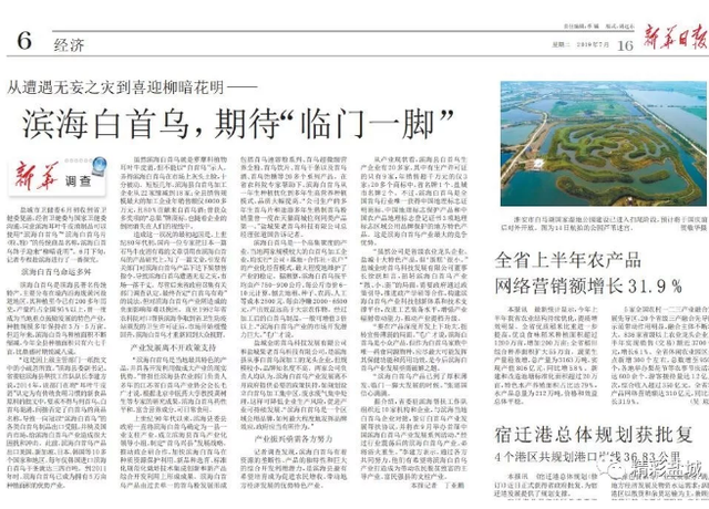 惊爆滨海白首乌从无辜被黑到浴火重生的幕后故事
