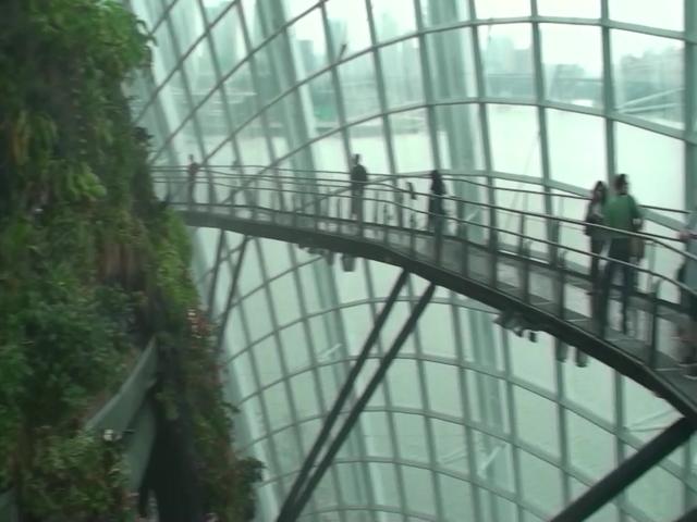 天下环球：游走新加坡（二）