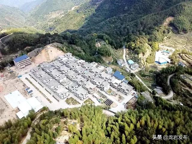 闽西革命基点村巡礼【42】新罗老寨村： 红色热土育出一方好茶