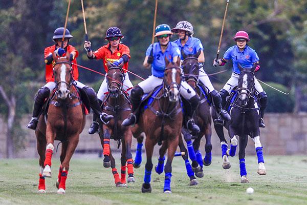 2019环亚女子马球公开赛暨1003 ROSE POLO CUP女子马球玫瑰杯落幕