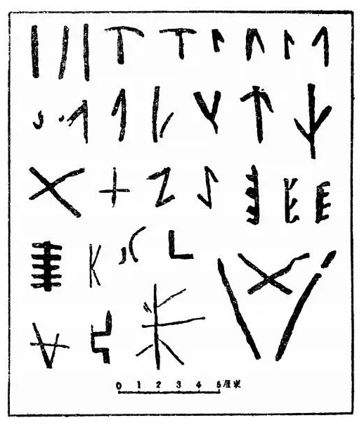 你不知道的汉字简史8000年：从贾湖刻符到黄帝书、鸟虫书、二简字