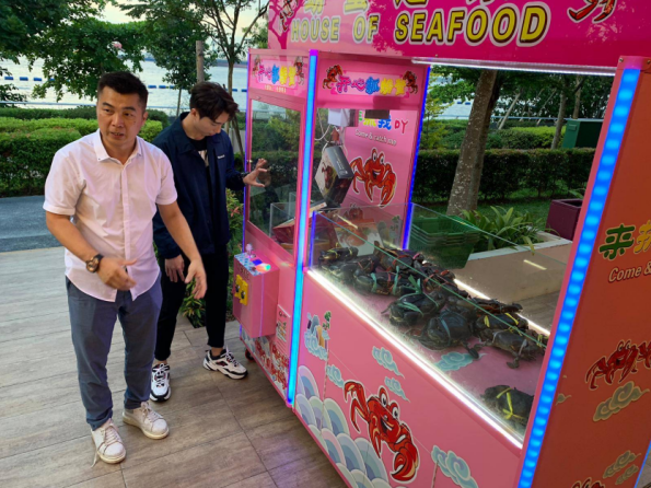 用娃娃机抓活螃蟹，新加坡餐厅被投诉虐待动物，不得不向公众道歉
