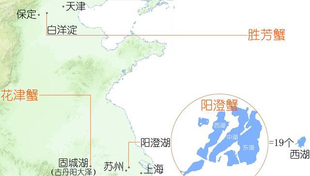 蟹考记三，买蟹、吃蟹——关于大闸蟹，你想知道的都在这里