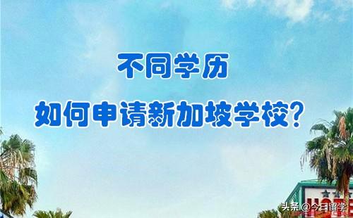不同学历如何申请新加坡学校？