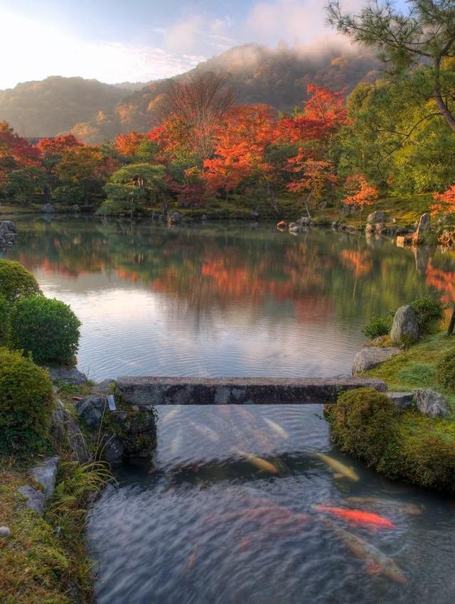 京阪红叶狩 | 日本庭园 · 景观 · 室内考察（12月5日—10日）