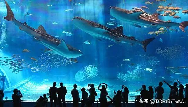 更方便！长沙新开两条直航航线，去尼泊尔与冲绳如此简单