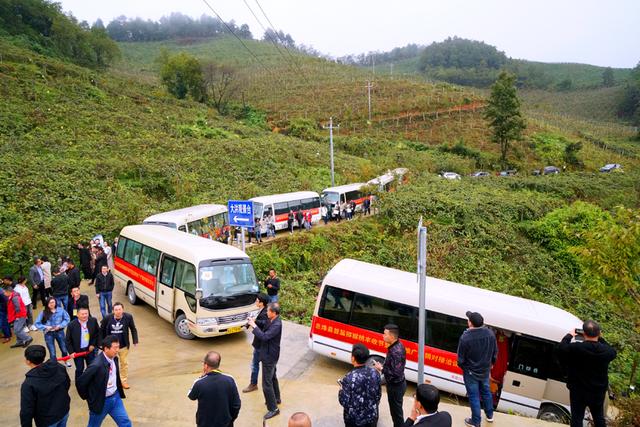 渝黔携手大山里种出“扶贫果”猕天大圣猕猴桃出口新加坡加拿大