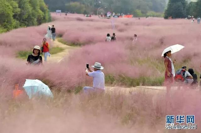 你已过完2019年法定节假日……