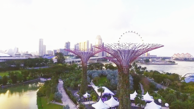 航拍最美新加坡滨海湾花园