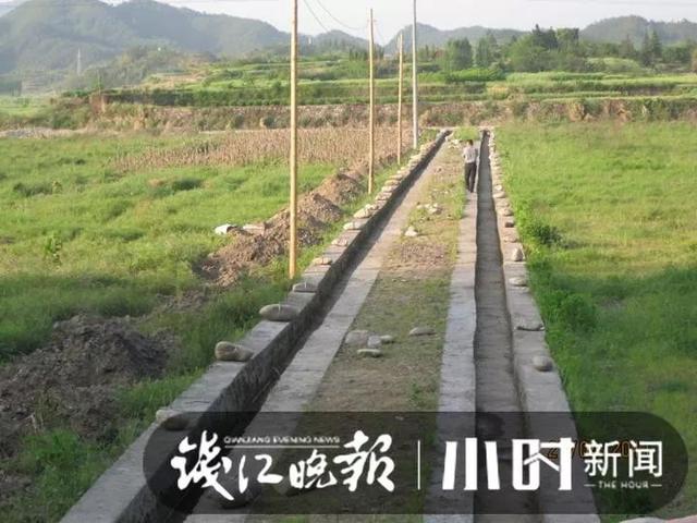 太赚了！韩国男白领辞职来千岛湖定居，年入400万：我在中国做农民很安心