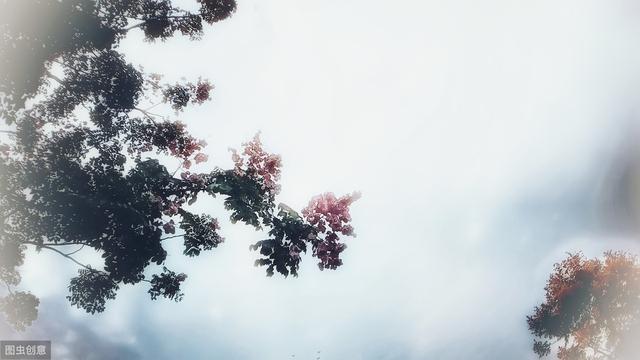 星座中的“精装才子”，双鱼粉丝多，摩羯团队强，水瓶国际爱