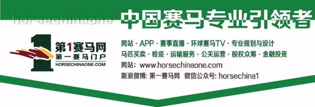重磅！中澳马匹运输恢复正常，神奇百万将持续支持中国马业发展