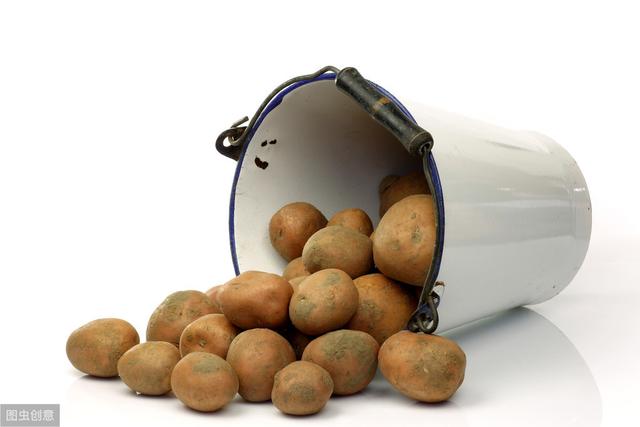 东南丘陵马铃薯生产地位如何？每个地方的种植情况有什么不同？
