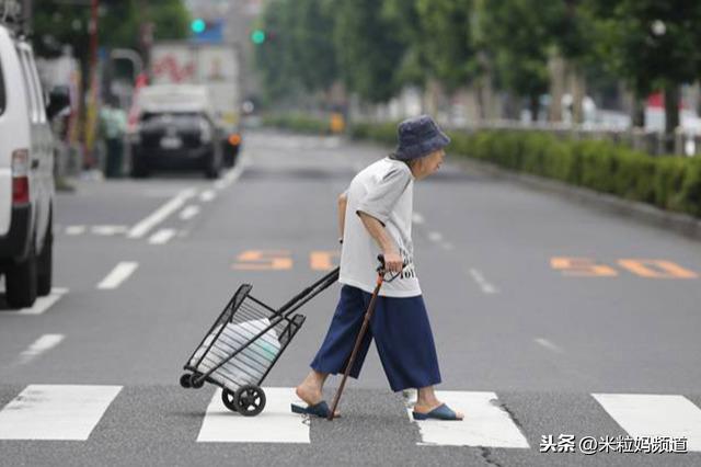 日本鼓励终身不退休：三十年后谁给我们养老？
