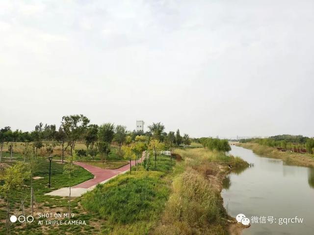 国庆人才需求 2019.10.15