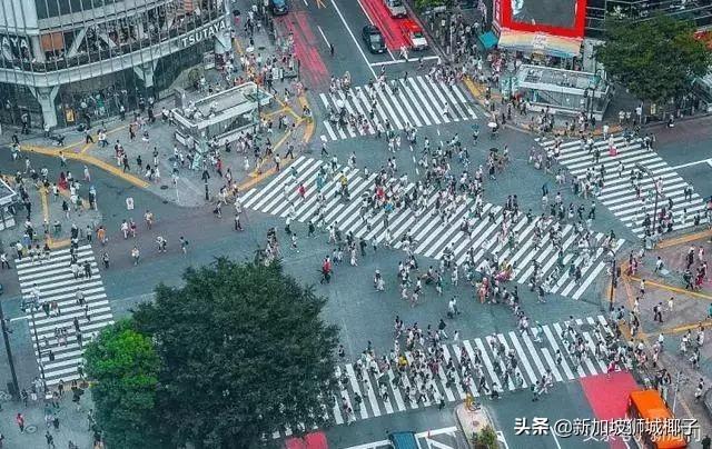 总有一群喊着要离开新加坡的人，他们过的怎么样了？