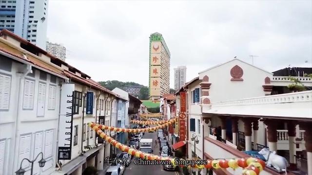 新加坡究竟是什么样子的  上