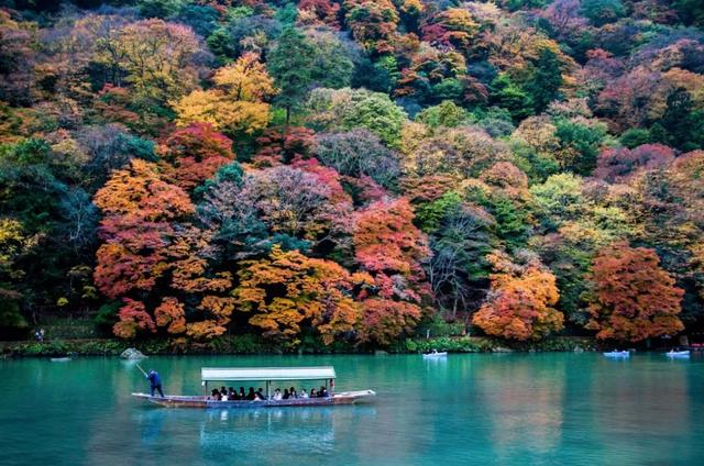 京阪红叶狩 | 日本庭园 · 景观 · 室内考察（12月5日—10日）