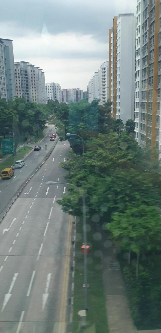 有个唐僧一样的话痨孩子，我只能把注意力放在欣赏新加坡街景上