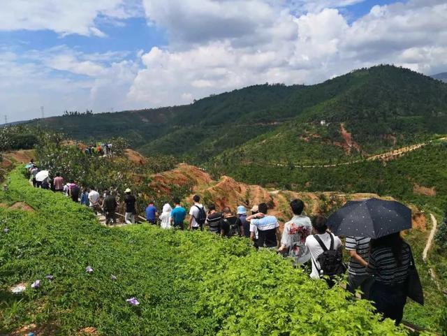 5年10万亩，和源农业对建水酸石榴的产业化布局值得...