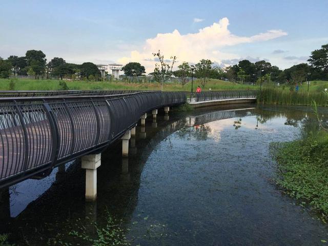 新加坡经验，潜流湿地助力雄安新区碧水建设