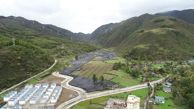 四川雷波：发展山葵产业 助农增收致富