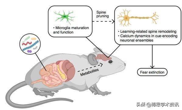 Nature系列14篇，许晓栋、李隽、彭慧胜、黄志伟、包刚等成果速递