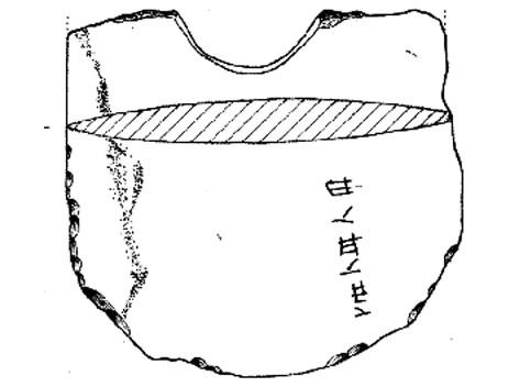 你不知道的汉字简史8000年：从贾湖刻符到黄帝书、鸟虫书、二简字