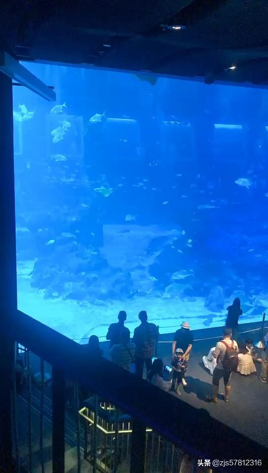 新加坡海底世界