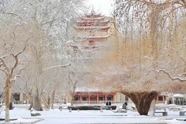 十二月 | 莫高学堂（成人班）第十期开课招生