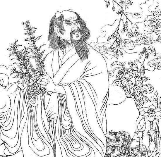 客家擂茶与侗族接骨茶，哪一种茶的滋味你更喜欢？