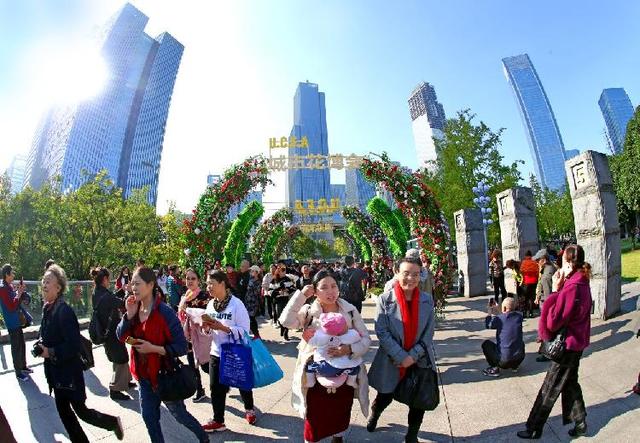 去江北嘴体验花海世界！第二届城市花博会11月1日开幕，可以网上预约哟