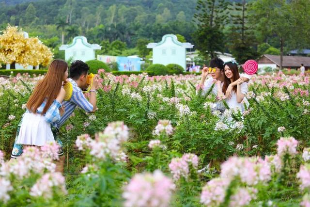 「佛山·高明」住五星+大闸蟹自助餐+盈香生态园~周末不加收