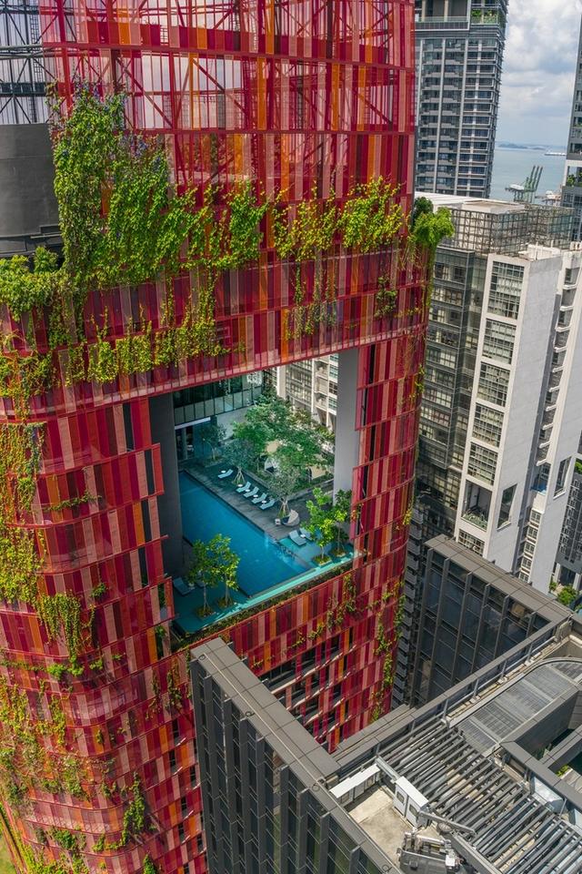 新加坡酒店红配绿，还很时尚？|酒店设计
